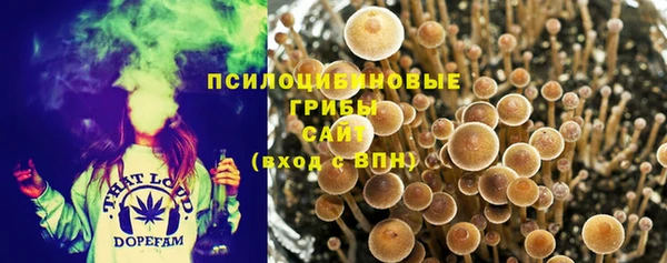 таблы Протвино