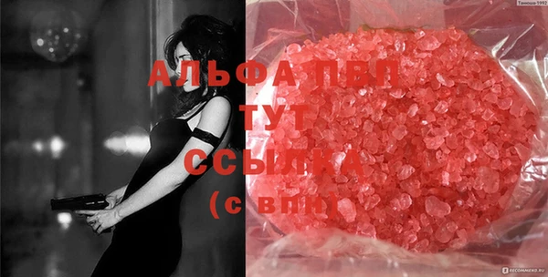 ECSTASY Пролетарск