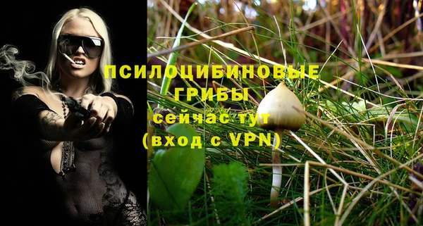 ECSTASY Пролетарск