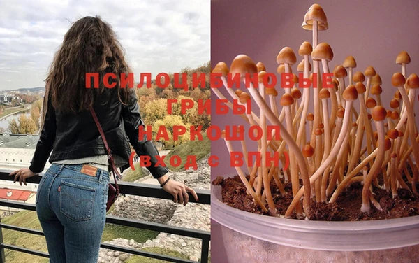 таблы Протвино