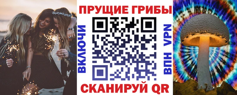 Купить закладки  Саяногорск  Псилоцибиновые грибы Magic Shrooms 